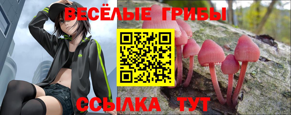Галлюциногенные грибы MAGIC MUSHROOMS Волгодонск